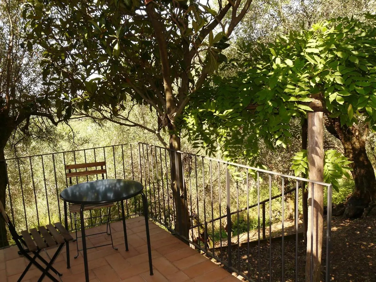 Holiday home La Dolcevita Stiava